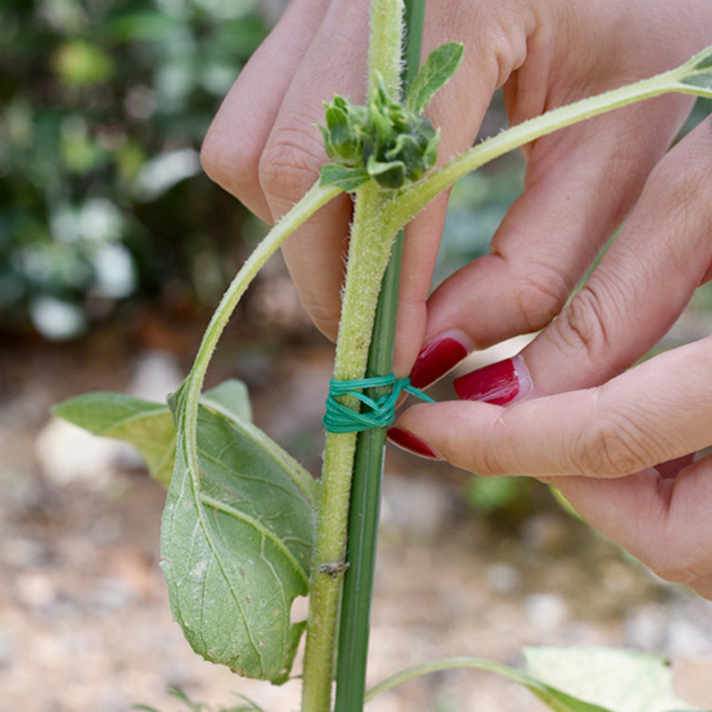 Multifunctional Garden Twist T - Gear Tie Reusable 리뷰 및 가격