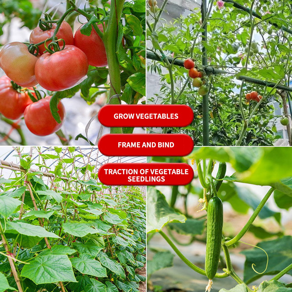 Multifunctional Garden Twist T - Gear Tie Reusable 리뷰 및 가격