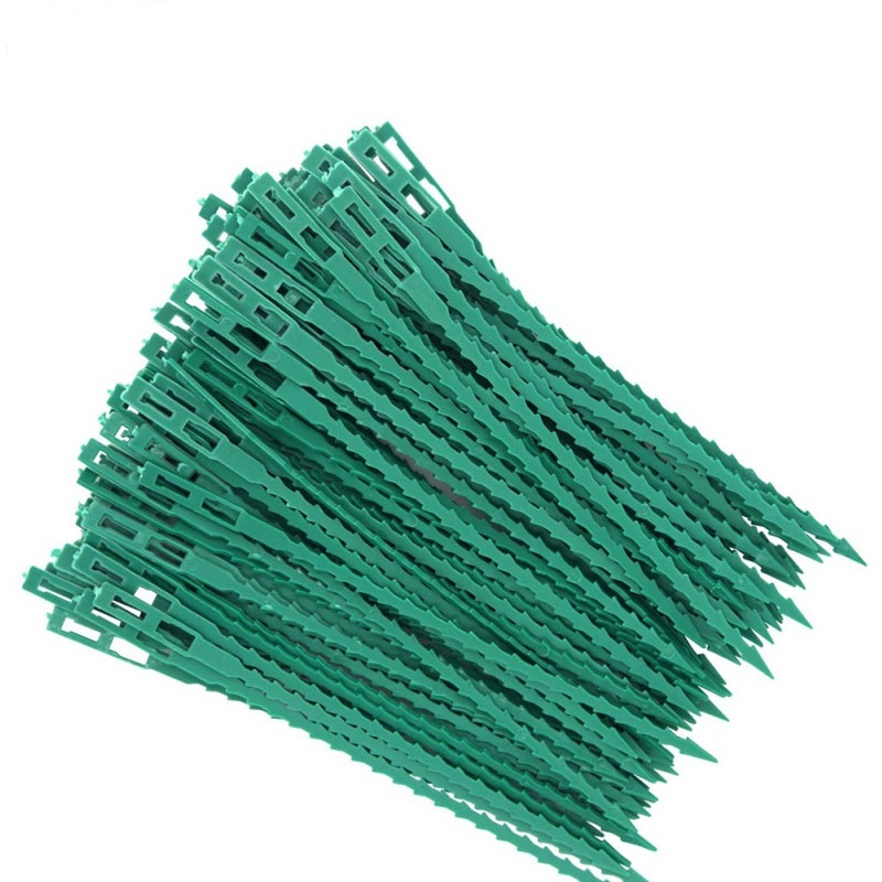 50/100Pcs Reusable Garden Cabl - Gear Tie Reusable 리뷰 및 가격
