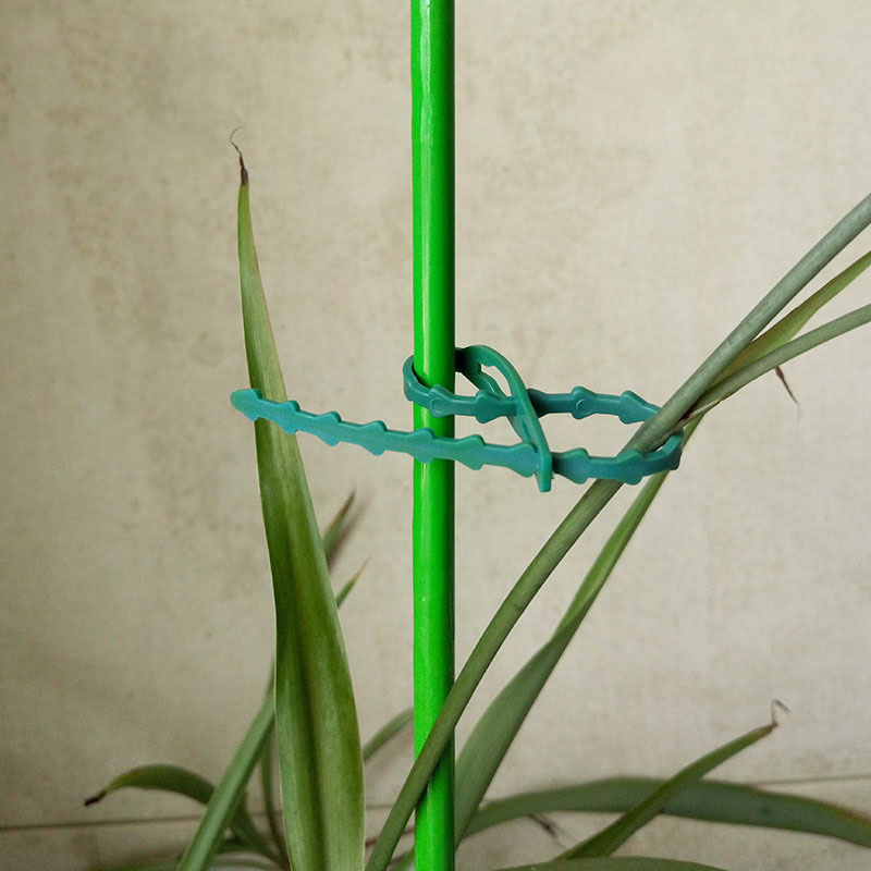 50/100Pcs Reusable Garden Cabl - Gear Tie Reusable 리뷰 및 가격