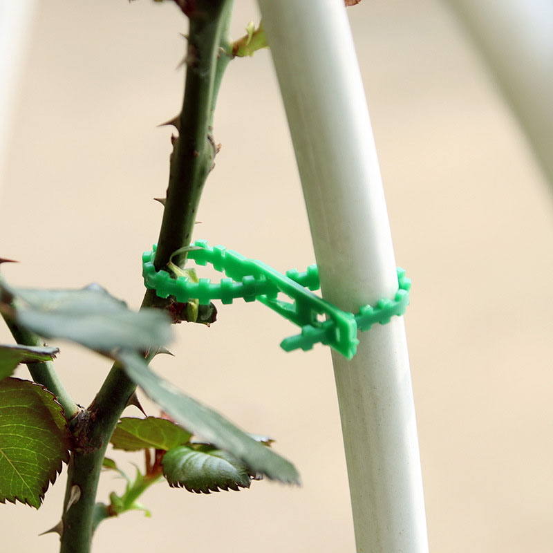 50/100Pcs Reusable Garden Cabl - Gear Tie Reusable 리뷰 및 가격