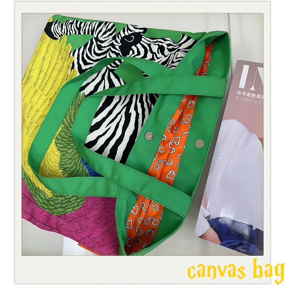 Fashion Multi-color Canvas Bag - Edc Carry Bag 리뷰 및 가격