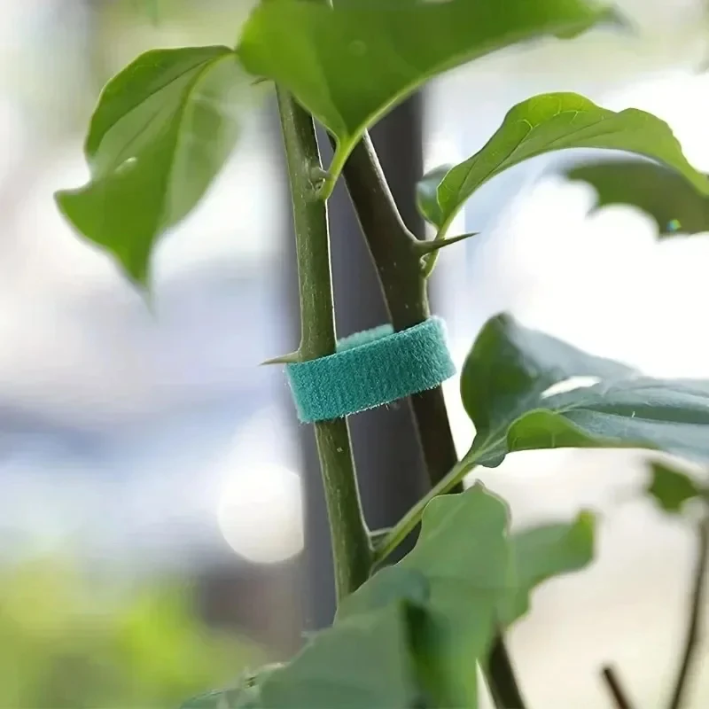 10m/25m Reusable Nylon Plant T - Gear Tie Reusable 리뷰 및 가격