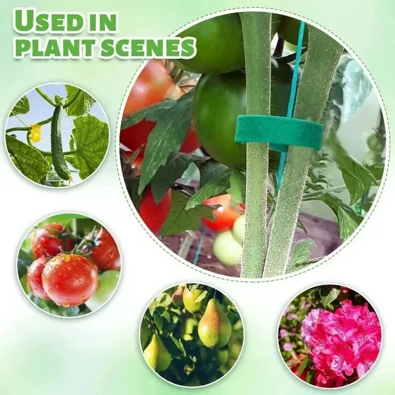 10m/25m Reusable Nylon Plant T - Gear Tie Reusable 리뷰 및 가격
