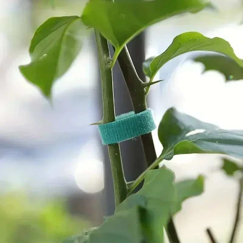 1/100M Adjustable Self Adhesiv - Gear Tie Reusable 리뷰 및 가격