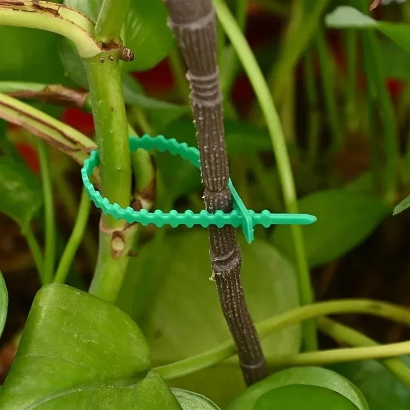 Reusable Garden Cable Ties Pla - Gear Tie Reusable 리뷰 및 가격